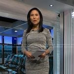 vicky’s grey space dye tulip hem dress on NBC News Daily