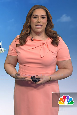 Violeta Yas’ pink tie neck dress on Today