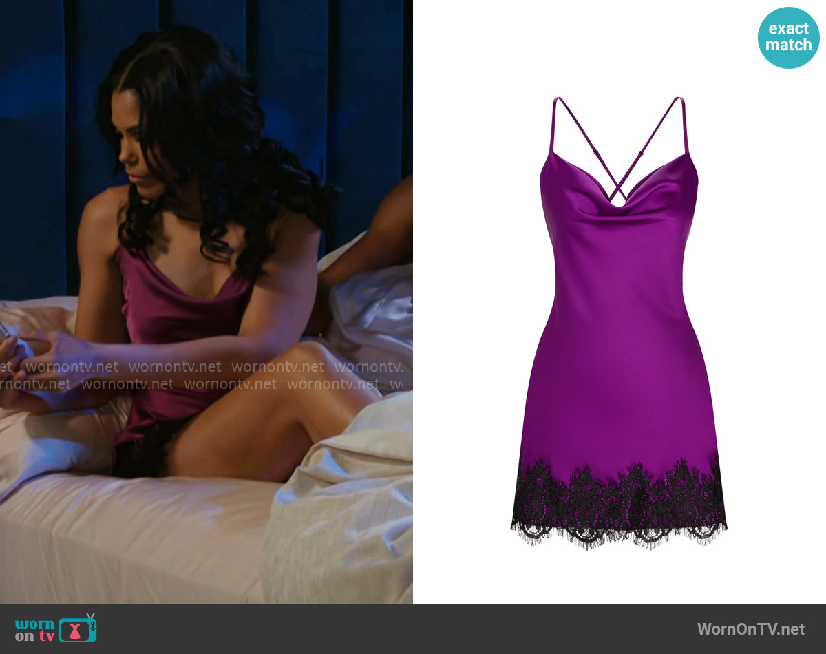 X Intima Elegance in Purple Satin Dress With Lace worn by Dani Dupree (Karla Mosley) on Beyond the Gates