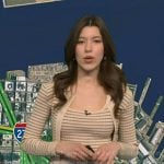 Lindsay Tuchman’s beige striped top and cardigan on Good Morning America