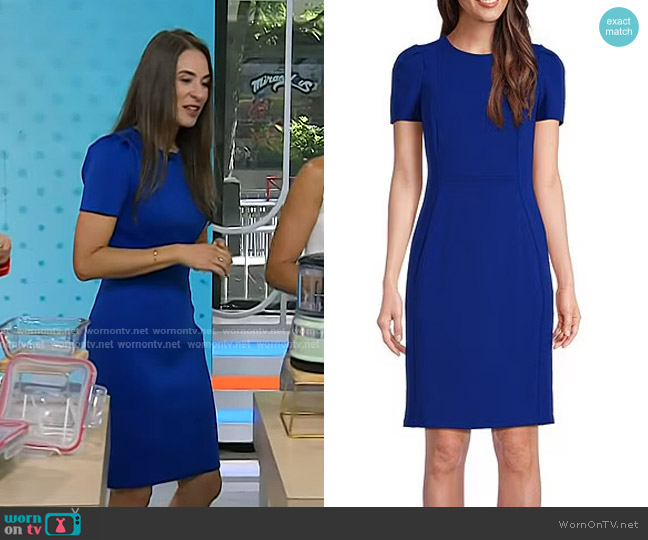 Calvin Klein Short Pleated Sleeve Crew Neck Sheath Dress worn by Dr. Michelle Cardel on Today