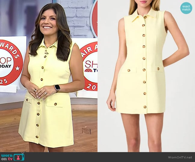 French Connection Azra Sleeveless Twill Mini Shirtdress in Cornsilk Yellow worn by Adrianna Barrionuevo Brach on Today