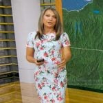 Ginger’s blue floral short sleeve dress on Good Morning America