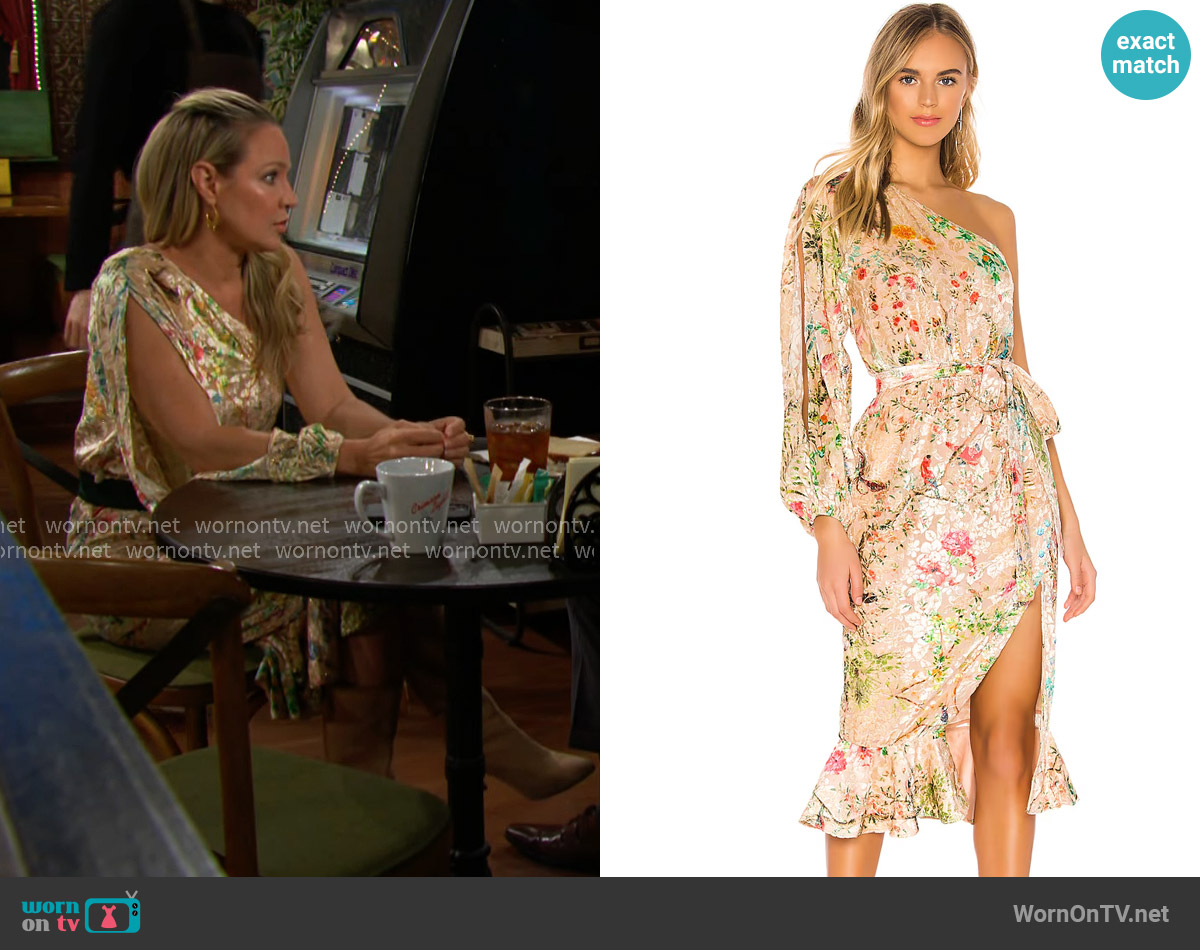 Hemant and Nandita Veena Dress worn by Sharon Newman (Sharon Case) on The Young and the Restless