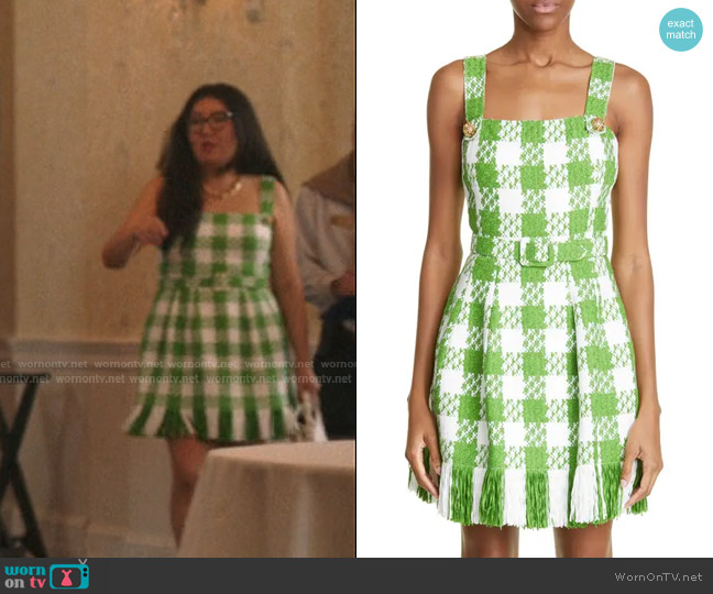 Oscar de la Renta Gingham Fringe Hem Cotton Blend Dress worn by (Jenny Han) on The Summer I Turned Pretty