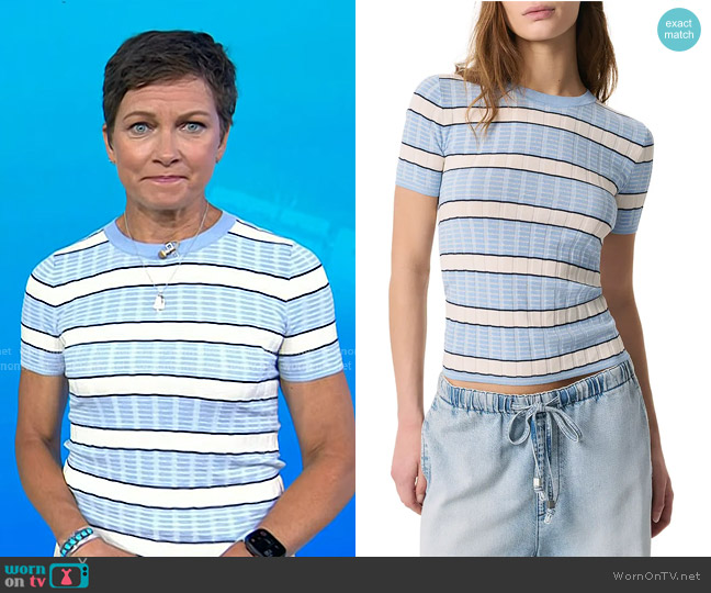 Rag & Bone Eloise Striped Short-Sleeve Sweater in Light Blue Multi worn by Stephanie Gosk on Today