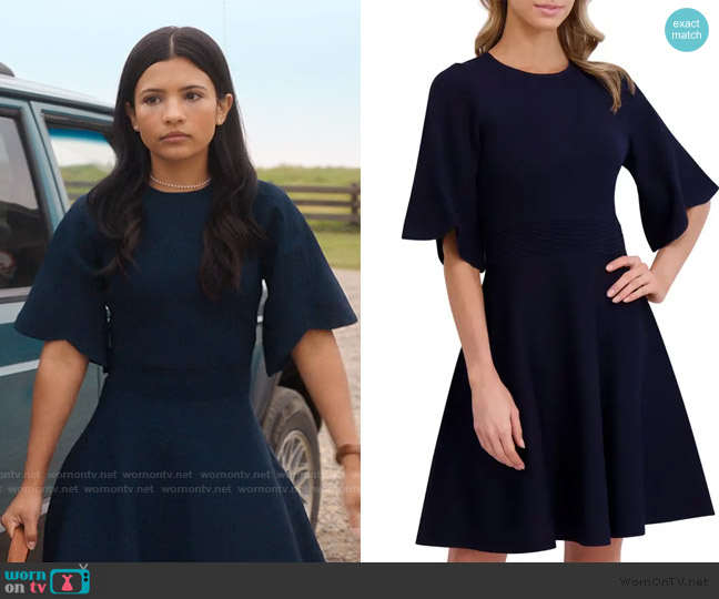Ted Baker Flutter Sleeve Fit & Flare Sweater Dress worn by Jackie Howard (Nikki Rodriguez) on My Life with the Walter Boys