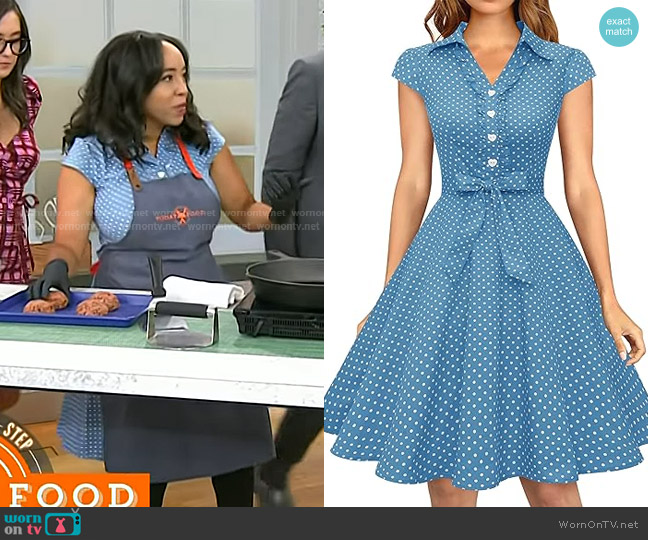 Wedtrend Retro Rockabilly Dress worn by Erica Blaire Roby on Today