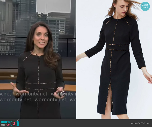 Zara Dress with Animal Print Piped Seams worn by Kate Bilo on CBS Mornings