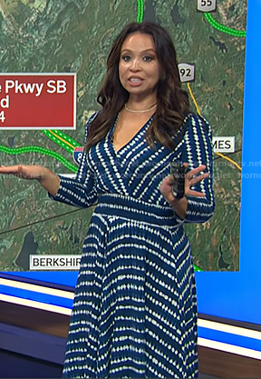 Adelle’s blue dot print dress on Today