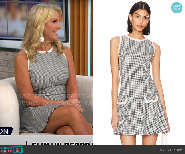 Alice + Olivia Sima Dropwaist Mini Dress worn by Elin Hilderbrand on CBS Mornings