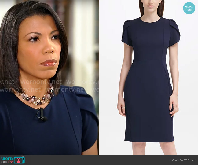 Calvin Klein Tulip-Sleeve Sheath Dress in Indigo worn by Nikole Killion on CBS Mornings