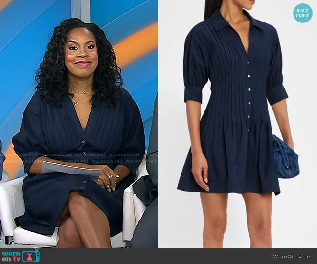 Cinq a Sept Monty Pleated Puff-Sleeve Dress worn by Sheinelle Jones on Today