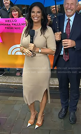 Darlene’s brown cap toe slingback pumps on Today