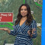 Adelle’s blue dot print dress on Today