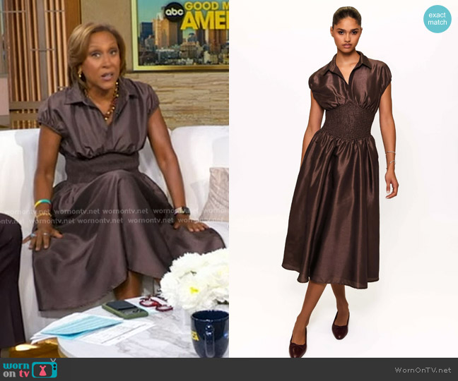 Hutch Trevy Dress in Brown worn by Robin Roberts on Good Morning America