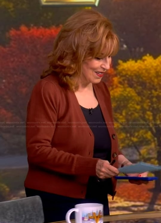 Joy’s brown cardigan on The View