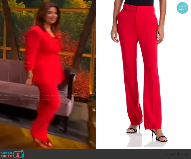 Kerry Slim Straight Leg Pants worn by Ana Navarro on The View