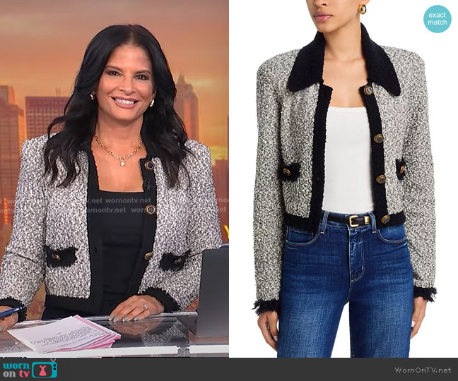 L'Agence Arielle Collared Jacket worn by Darlene Rodriguez on Today