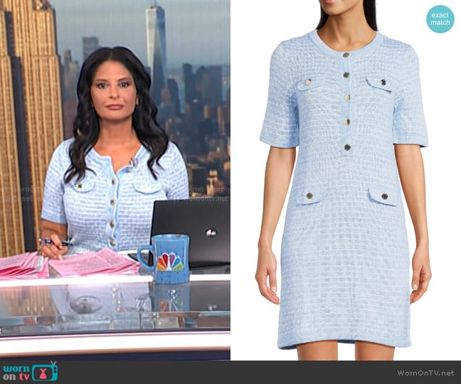 Lilly Pulitzer Theodorah Sweater Sheath Dress in Bluette Metallic Marl worn by Darlene Rodriguez on Today