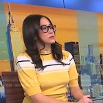 Savannah’s yellow striped short sleeve sweater on NBC News Daily