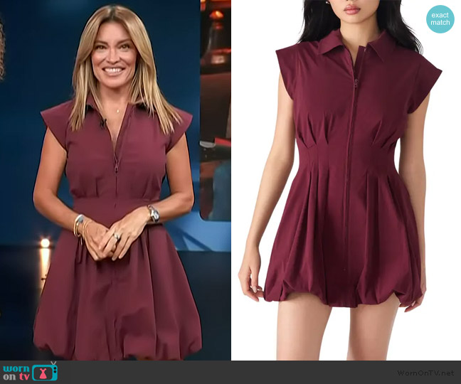 Steve Madden Dyanne Dress worn by Kit Hoover on Access Hollywood