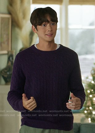 Steve’s purple cable knit sweater on The Summer I Turned Pretty
