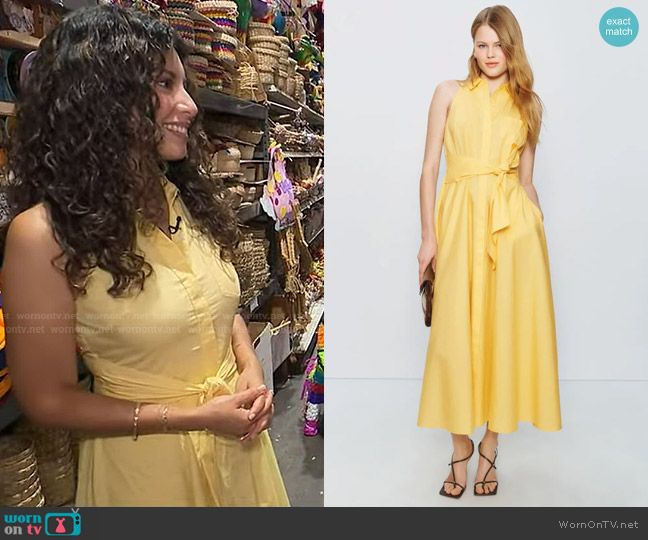 Toccin Sleeveless Tie Waist Shirt Dress worn by Anabel Mun?oz on Good Morning America