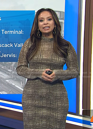 Adelle’s brown plaid long sleeve dress on Today