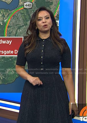 Adelle’s lurex polo dress on Today