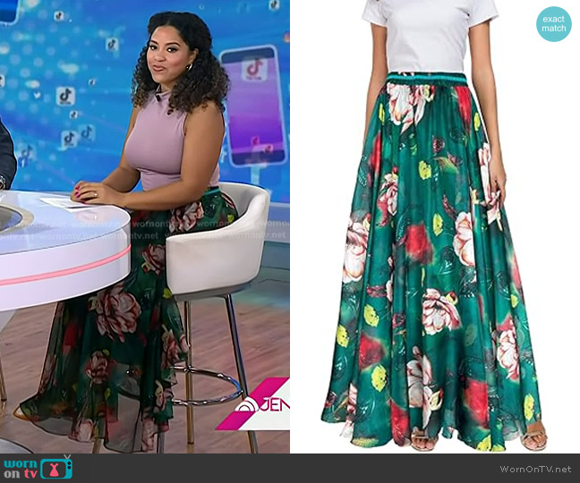 Afibi Maxi Chiffon Skirt worn by Arianna Davis on Today
