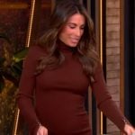 Alyssa’s brown turtleneck dress on The View
