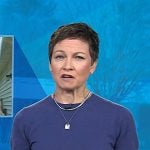 Stephanie’s blue short sleeve sweater on Today