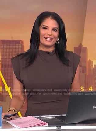 Darlene’s brown jersey dress on Today
