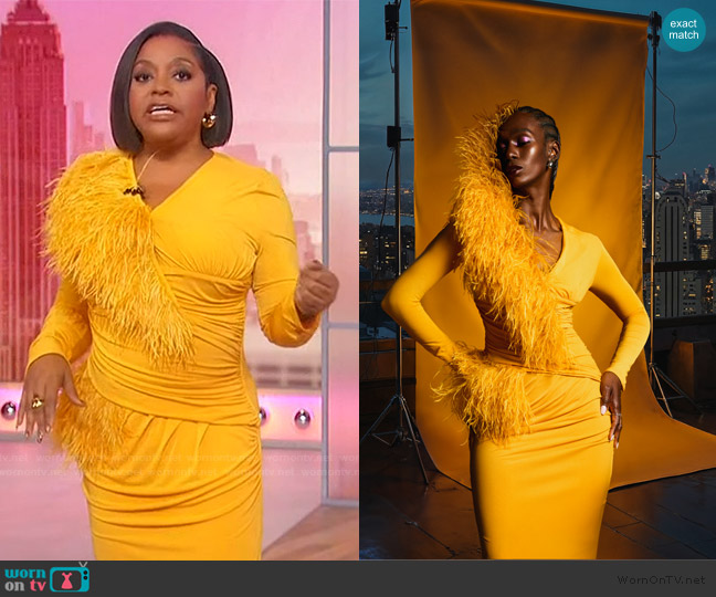 Hanifa 2024 Fall Winter Collection worn by Sherri Shepherd on Sherri