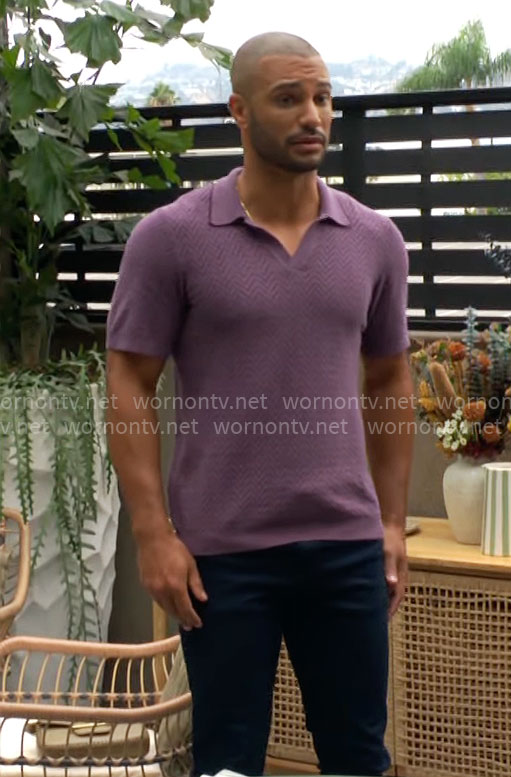 Holden’s purple chevron polo shirt on The Young and the Restless