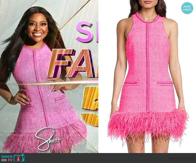 Likely Annalisa Feather-Trimmed Tweed Dress worn by Sherri Shepherd on Sherri