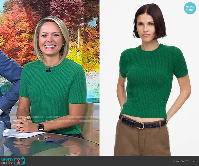Madewell Bouclé-Knit Crewneck Sweater Tee in verdant green worn by Dylan Dreyer on Today