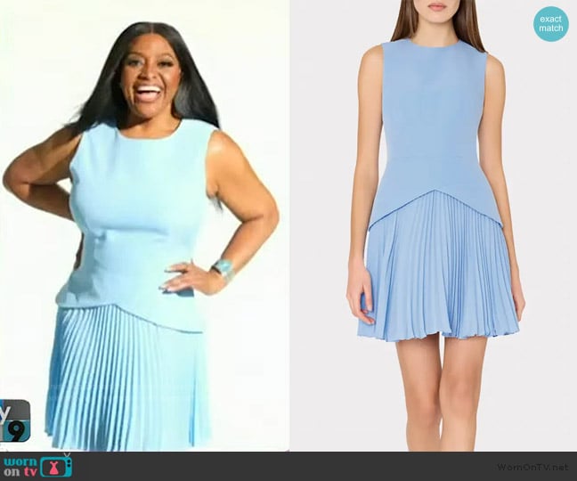 Milly Haddy Sleeveless Pleated Minidress worn by Sherri Shepherd on Sherri