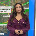 Adelle’s pink houndstooth tweed dress on Today