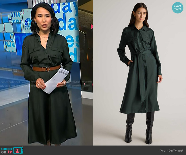 Quince 100% Silk Twill Utility Shirt Dress in Forest Green worn by Vicky Nguyen on NBC News Daily