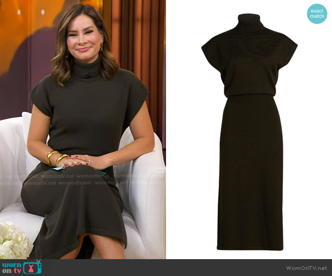 Ramy Brook Natalie Wool Knit Turtleneck Midi-Dress in Deep Olive worn by Rebecca Jarvis on Good Morning America