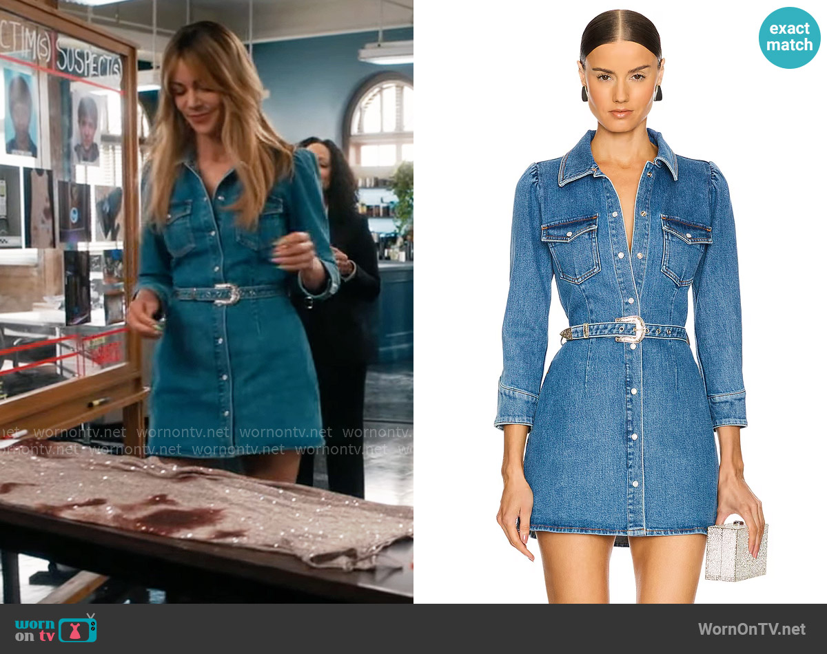 Retrofete Wiley Dress in Montana worn by Morgan Gillory (Kaitlin Olson) on High Potential
