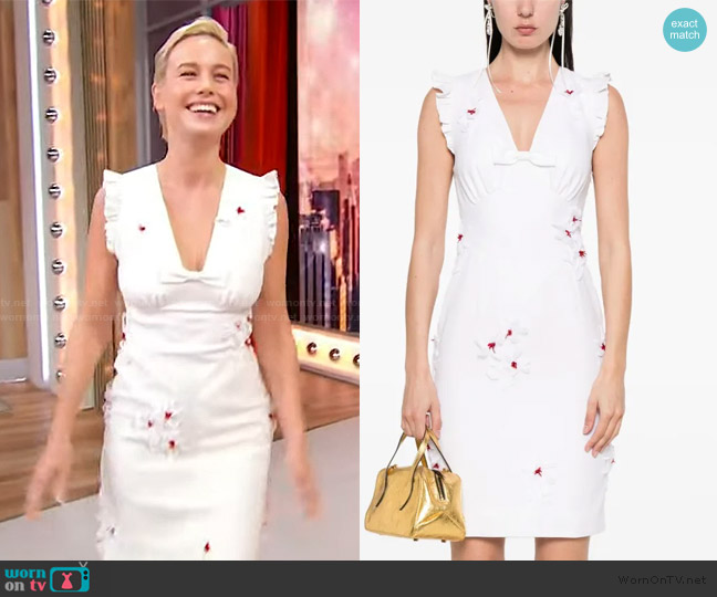 Shushu/Tong Floral Applique Mini Dress worn by Brie Larson on Sherri