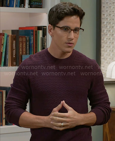 Smitty’s burgundy textured sweater on Beyond the Gates