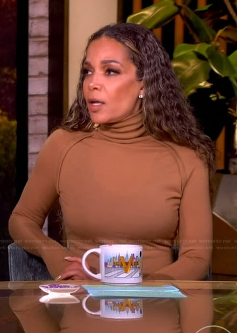 Sunny’s brown turtleneck sweater on The View