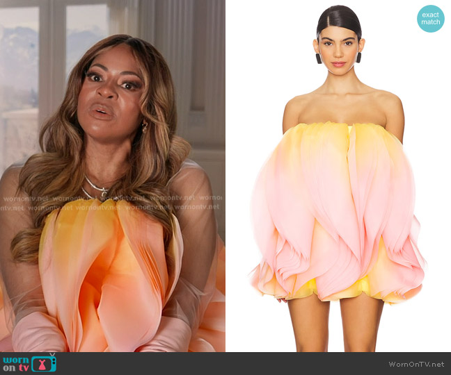 Acler Otley Mini Dress in Rising Sun Ombre worn by Mary Cosby on The Real Housewives of Salt Lake City