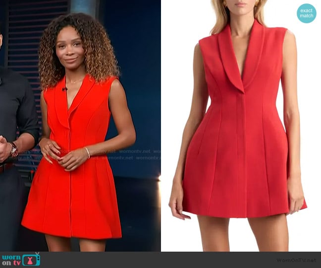 Bardot Destene Hourglass Minidress worn by Zuri Hall on Access Hollywood