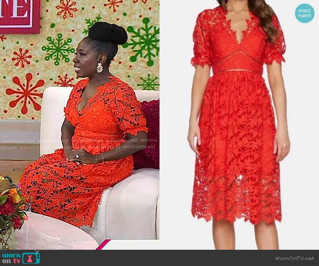 Bardot Fit and Flare Lace Dress worn by Elaine Swann on Today
