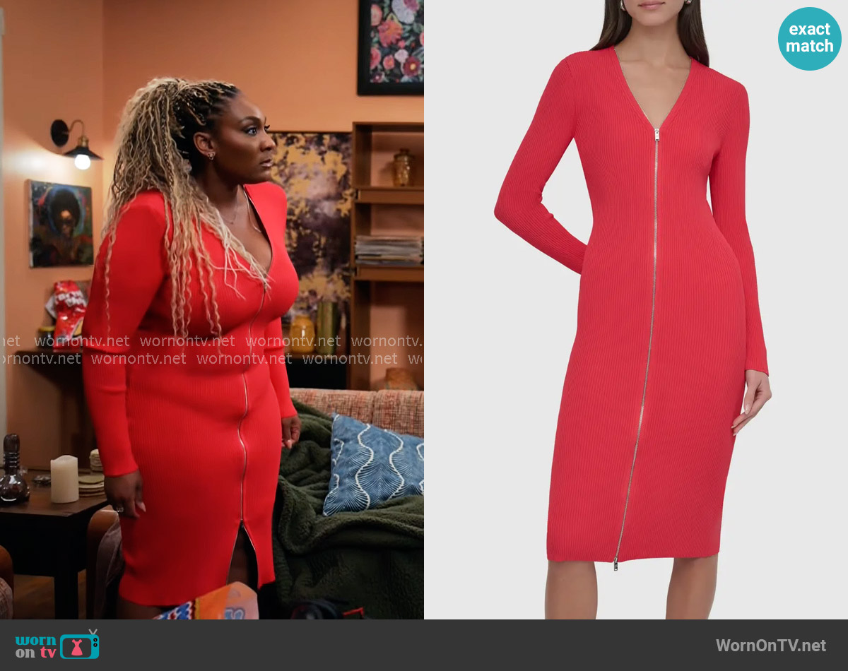 DKNY Front Zip Long Sleeve Rib Midi Dress in Watermelon worn by Daniella King (Mignon) on Tyler Perrys Sistas